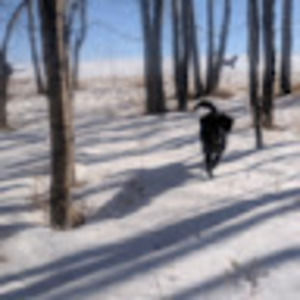 Meet your Posher, Alison